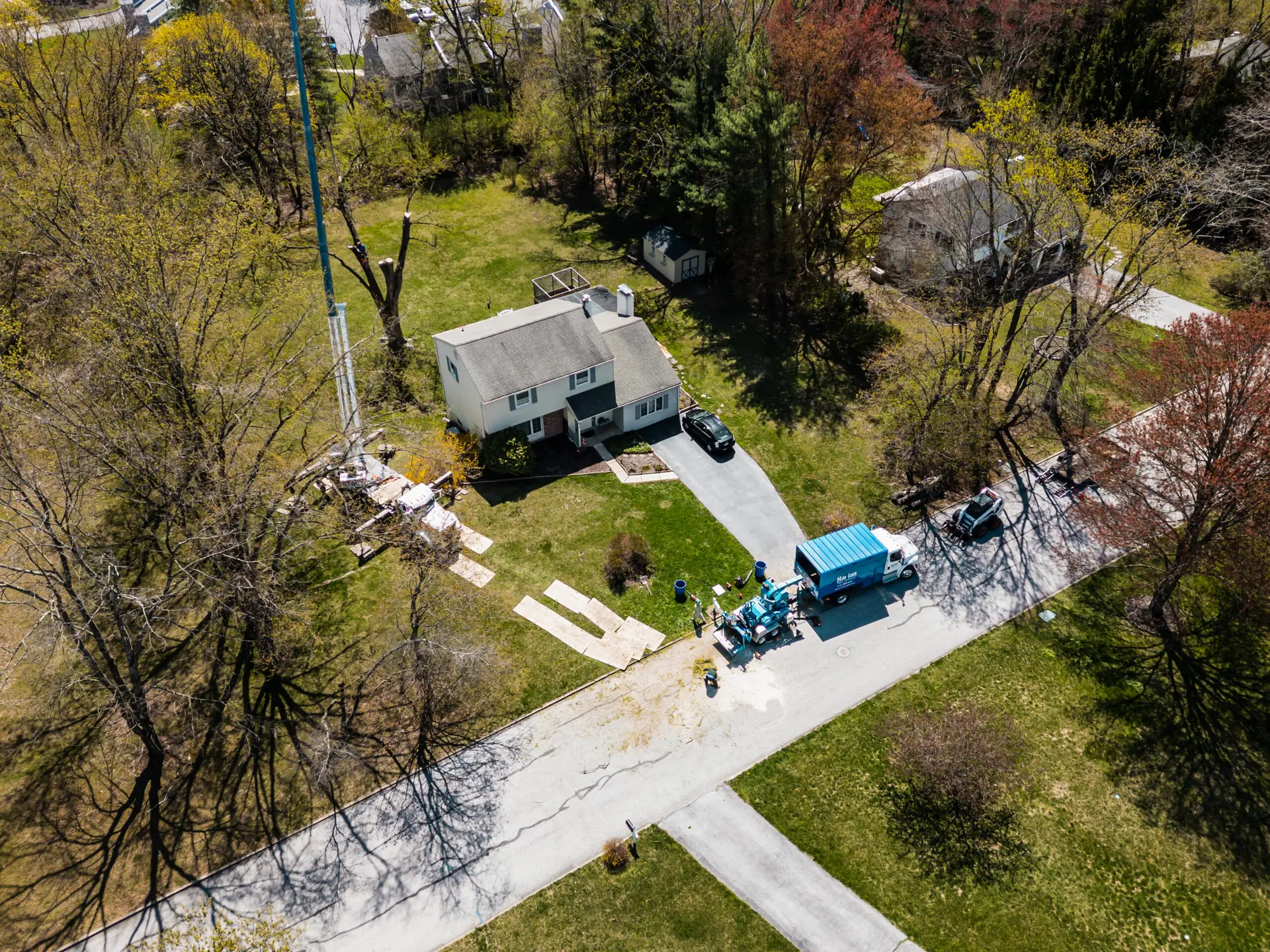 Harlan Tree Service over Tree removal